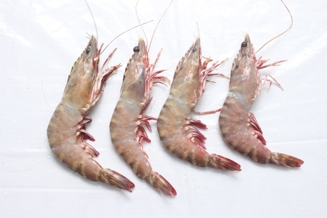 Sea shrimps
